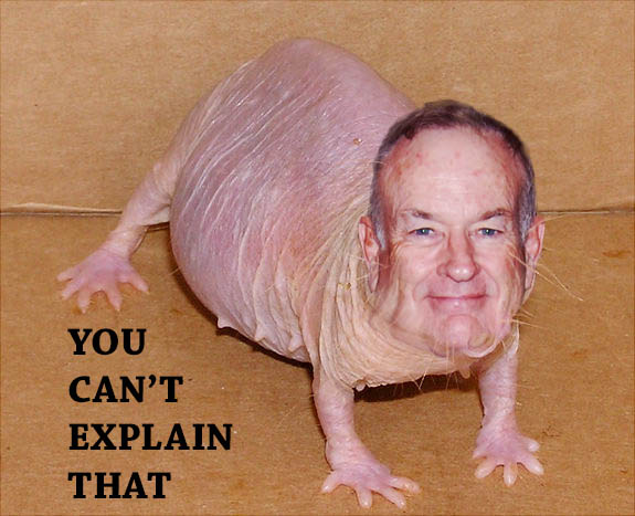 O'Reilly is a mole rat