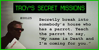 [ Secret Mission ]